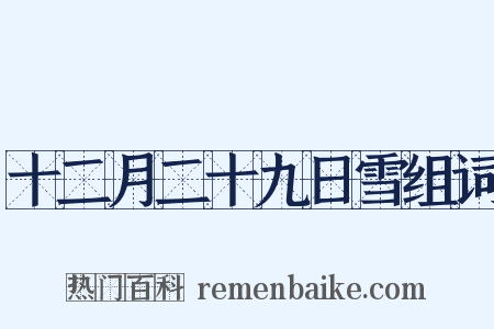 十二月二十九日雪组词是什么意思的图片